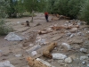 bild_2